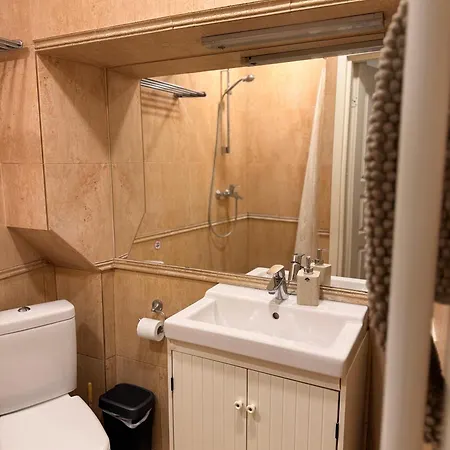 ビリニュス シンフォニー *