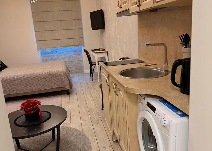 ビリニュス シンフォニー アパート *